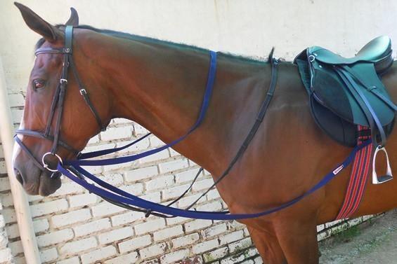 Nylon Running Reins