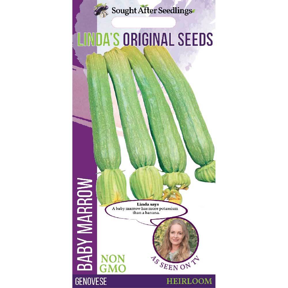 BABY MARROW GENOVESE SEED