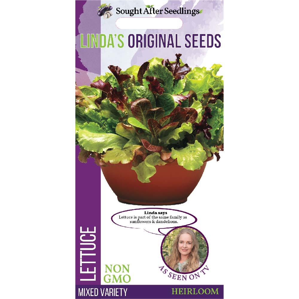 LETTUCE MIXED VARIETY SEED