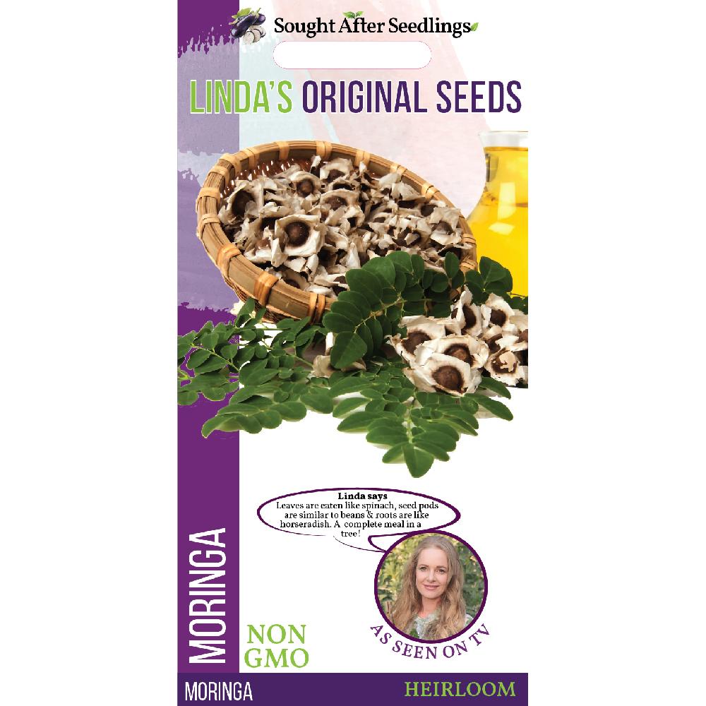 MORINGA OLEIFERA SEED