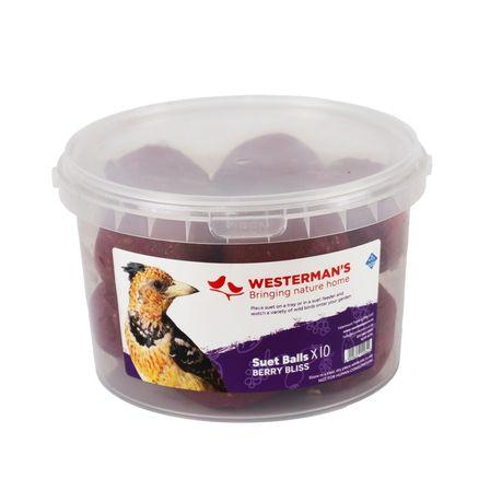 Suet Balls Berry 10pack