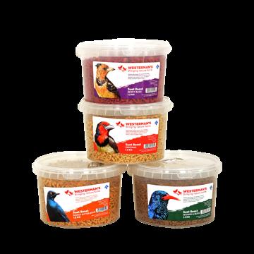 Suet Boost Worms & Bugs 1.2kg
