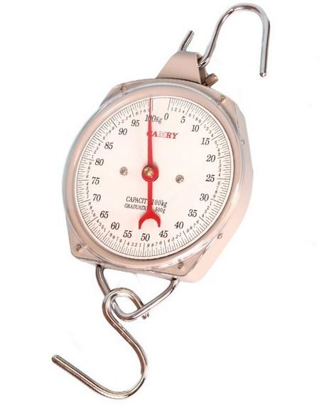 Camry Hanging Scale 50kg