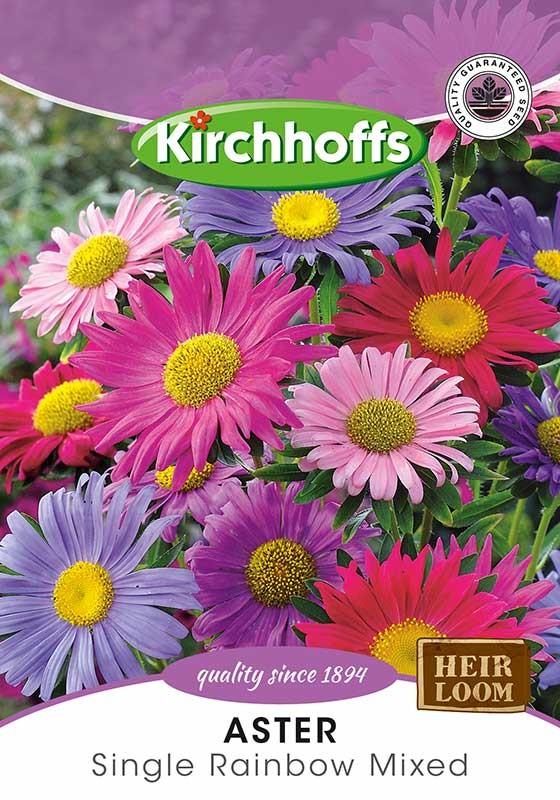 Flower Seed - Aster Single