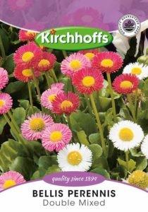 Flower Seed - Bellis Perennis Double