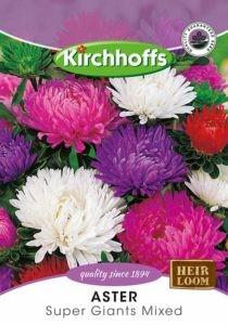 Flower Seed - Aster Giant Mix