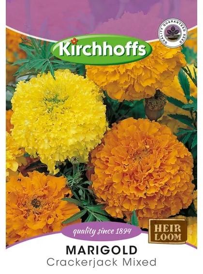 Flower Seed - Marigold Crackerjack