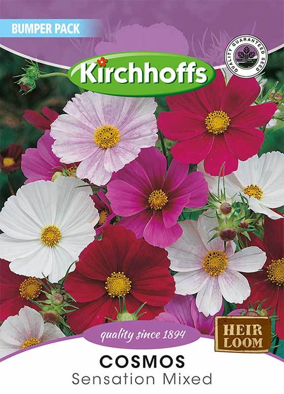 Flower Seed - Cosmos Sensation