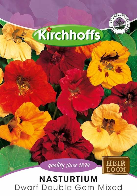Flower Seed - Nasturtium Dwarf