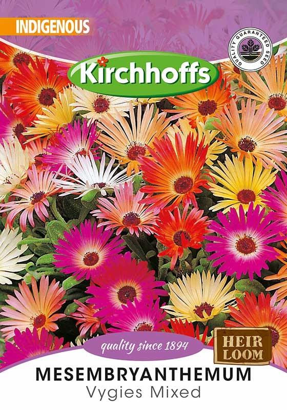 Flower Seed - Mesembryanthemum