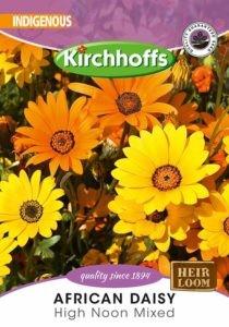 Flower Seed - AFRICAN DAISY Mix