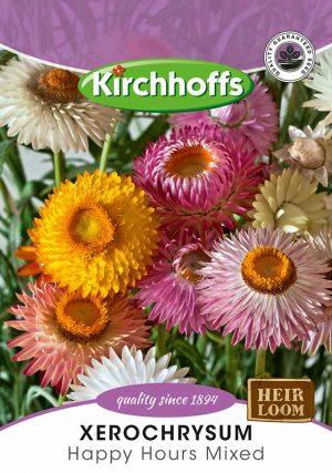 Flower Seed - Helichrysum - Happy Hours