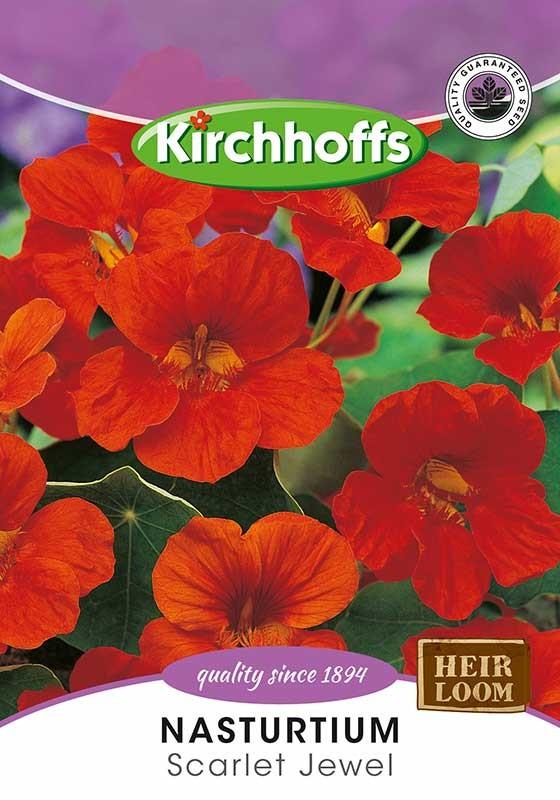 Flower Seed - Nasturtium Scarlet Jewel