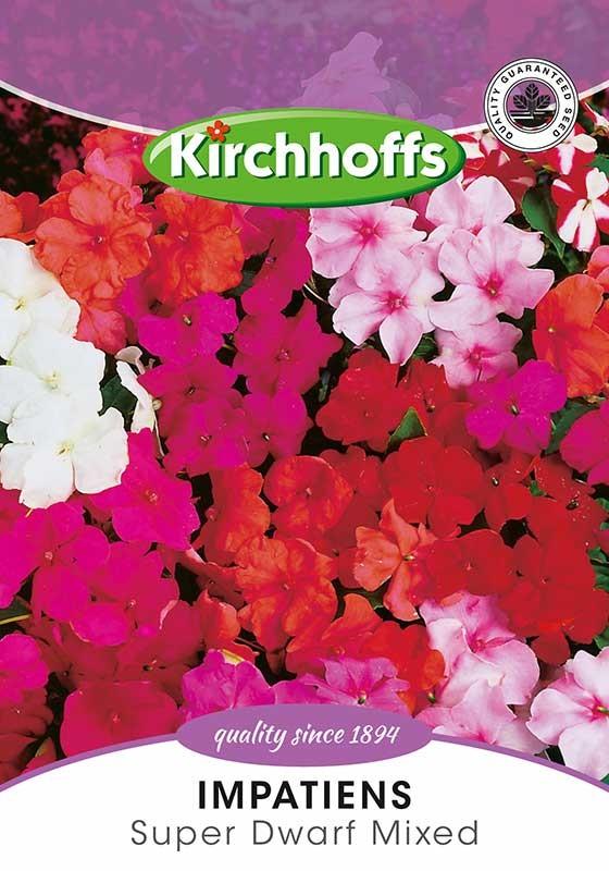 Flower Seed - Impatiens - Summer Dwarf