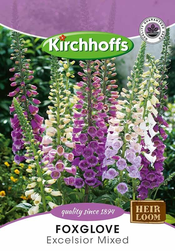 Flower Seed - Foxglove