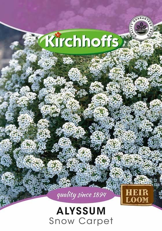 Flower Seed - Alyssum Snow Carpet