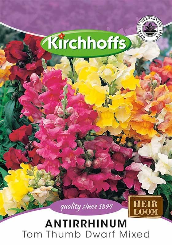 Flower Seed - Antirrhinum