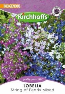 Flower Seed - Lobelia