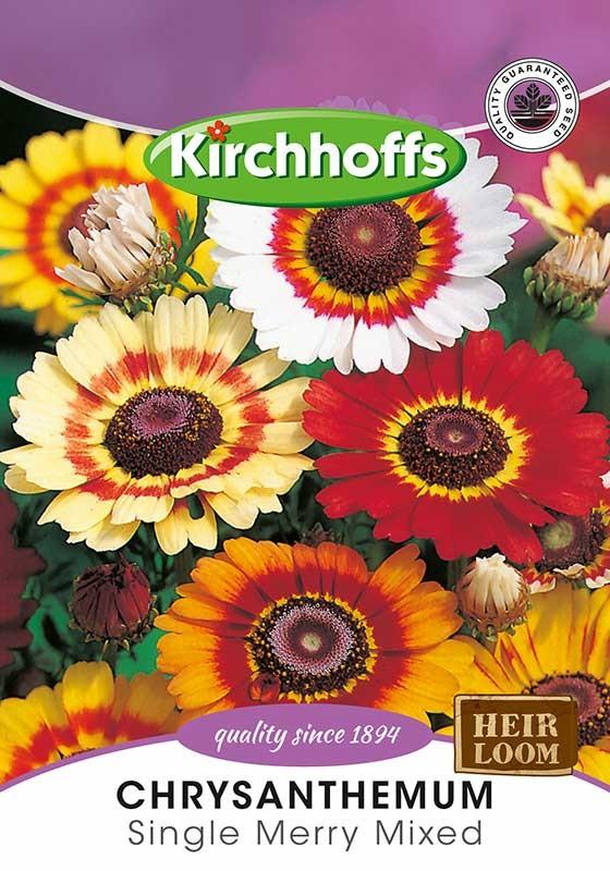 Flower Seed - Chrysanthemum