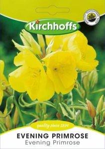 Flower Seed - Evening Primrose