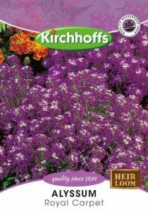 Flower Seed - Alyssum Royal Carpet