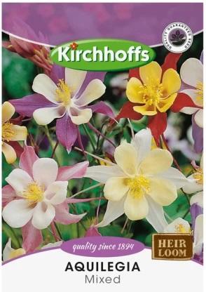FLOWER SEED - AQUILEGIA