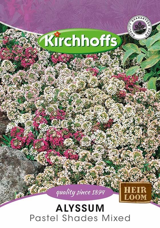 Flower Seed - Alyssum Pastel Shades
