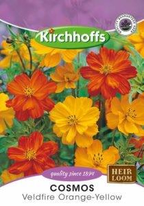 Flower Seed - Cosmos Veldfire