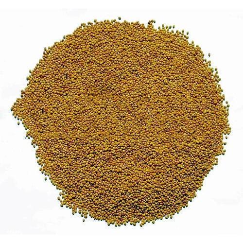 Grass Seed - Lucerne 1Kg
