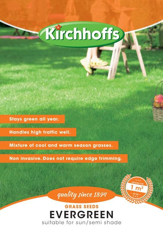 Grass Seed - Evergreen 100G