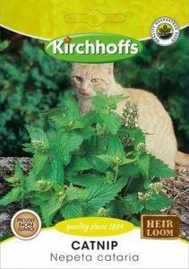 Herb Seed - Catnip