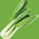 Raw - Cabbage Pak Choi
