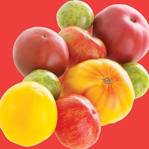 Raw - Tomato Heirloom Rainbow