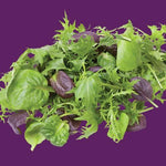 Raw - Micro Greens Oriental