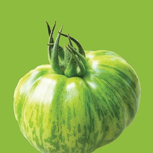 Raw- Tomato Green Zebra