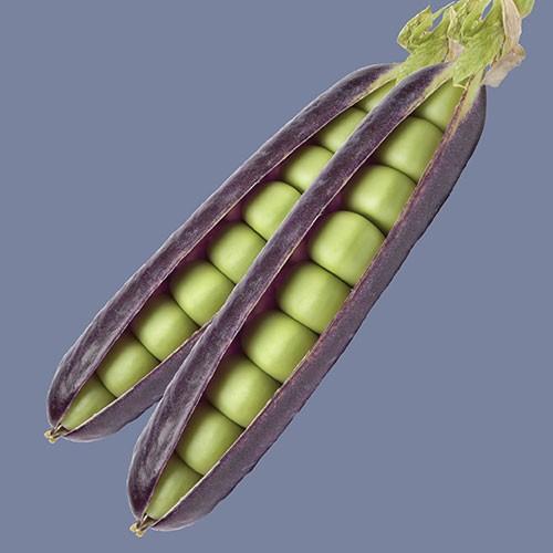 Raw - Pea - Blue Shelling