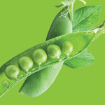 Raw - Peas Tom Thumb