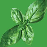 Raw - Basil Culinary Blend