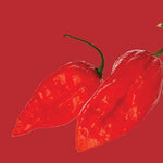 Raw- Pepper Chilli ghost