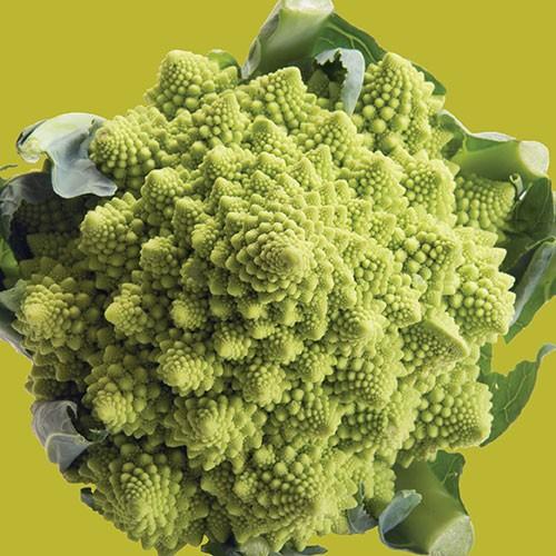 Raw- Cauliflower Romanesco