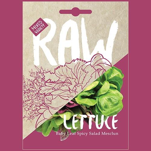 Raw - Lettuce Spicy Salad