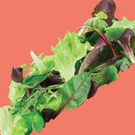 Lettuce - Baby Mix Mesclun