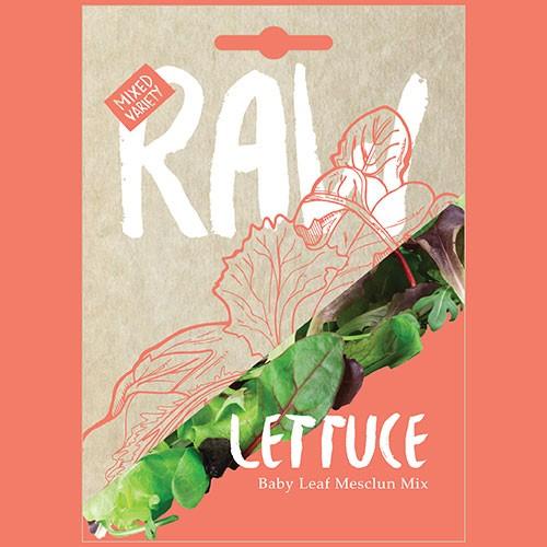 Lettuce - Baby Mix Mesclun