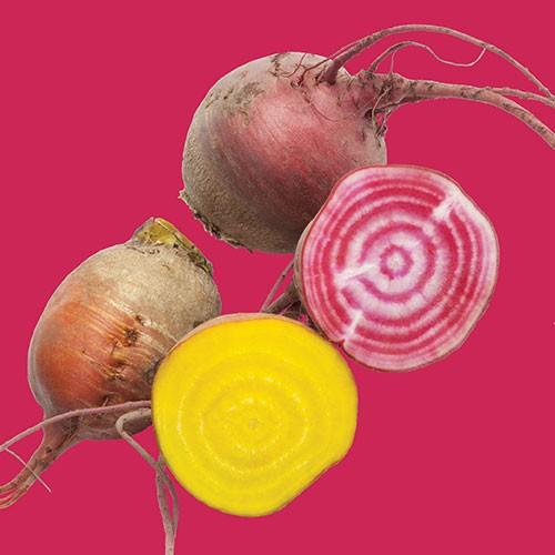 Raw - Beet Red & Gold