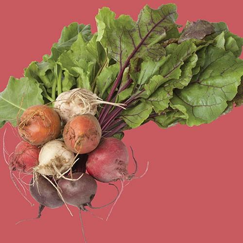 Raw - Beet Rainbow Blend