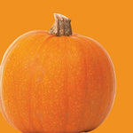 Raw - Pumpkin - Wee Be Little