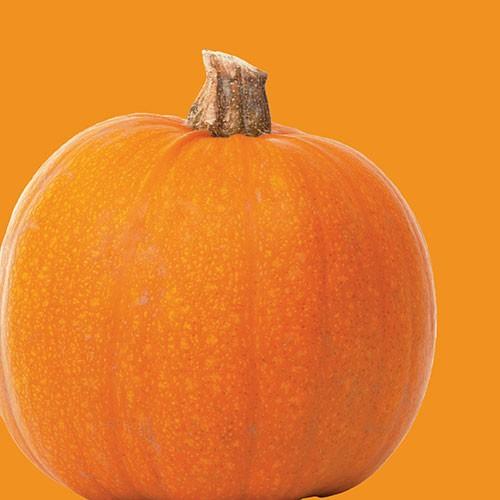Raw - Pumpkin - Wee Be Little