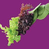 Raw - Lettuce Gourmet