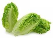 Veggie Seed - Lettuce Little Gem
