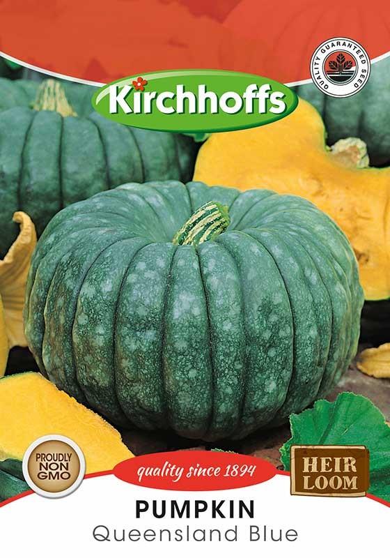 Veggie Seed - Pumpkin - Qeensland Blue